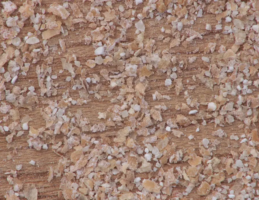 Close-up of wheat bran