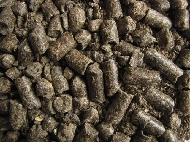 Sunflower meal in pellet form