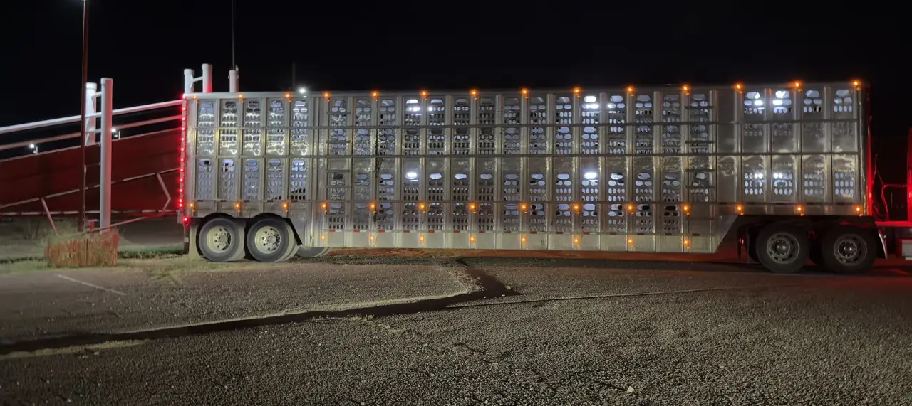 Livestock trailer lit up at night